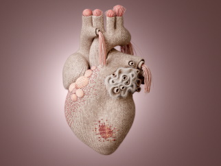 Artistic rendering of the heart